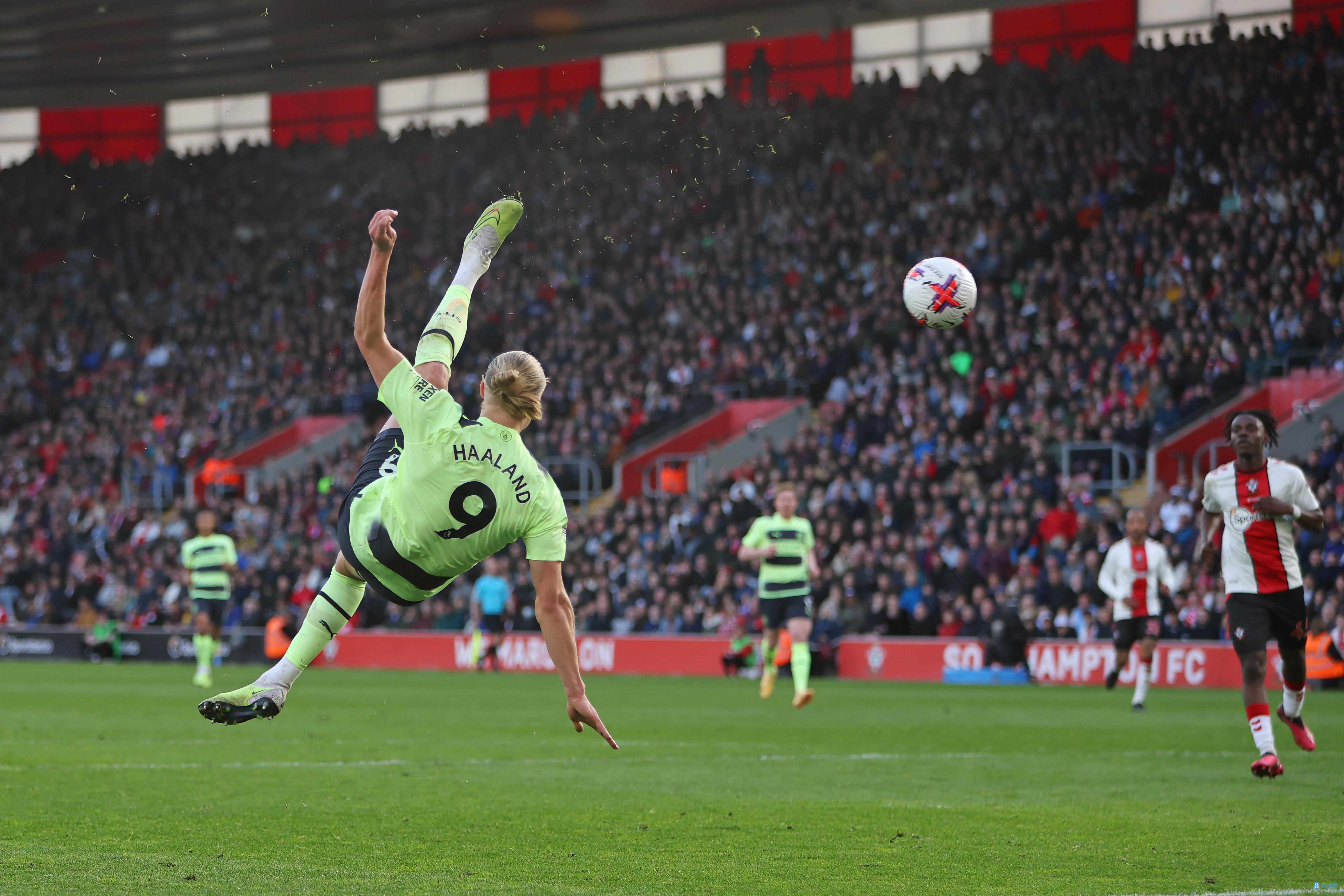 新手小林把 新手小林把