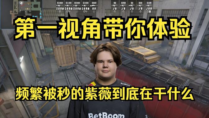 规则导向
